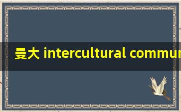 曼大 intercultural communication